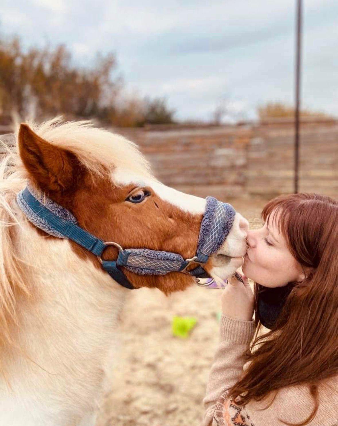 Séance d'équithérapie
