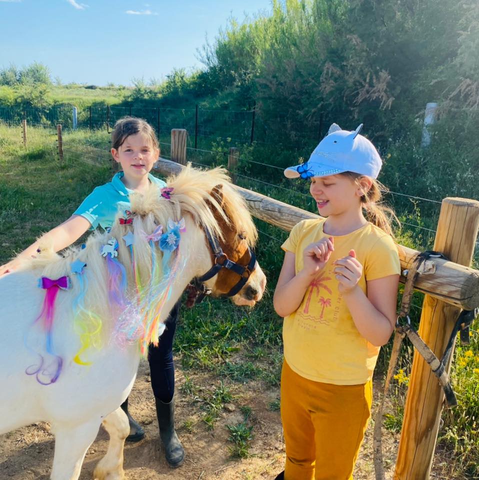 Habiletés sociales avec le cheval