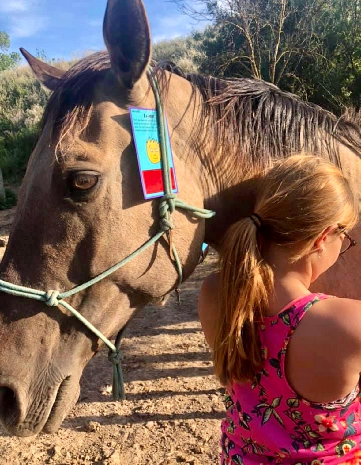 Sullivan, le cheval cow-boy