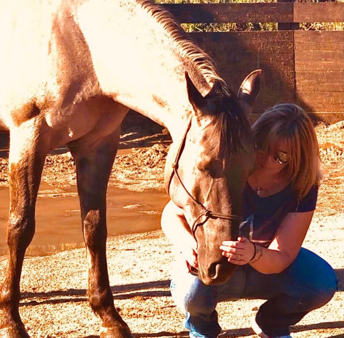 Sullivan, le premier cheval