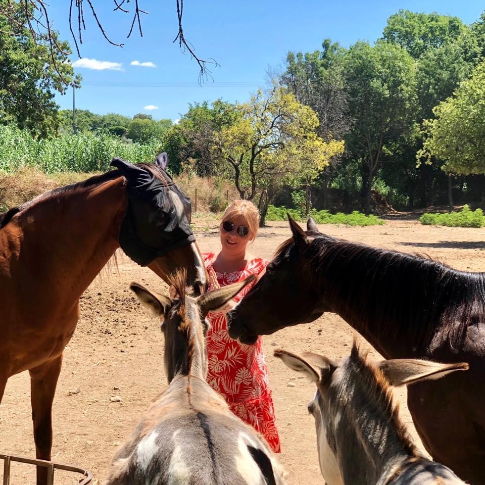 Le lien aux animaux depuis l'enfance