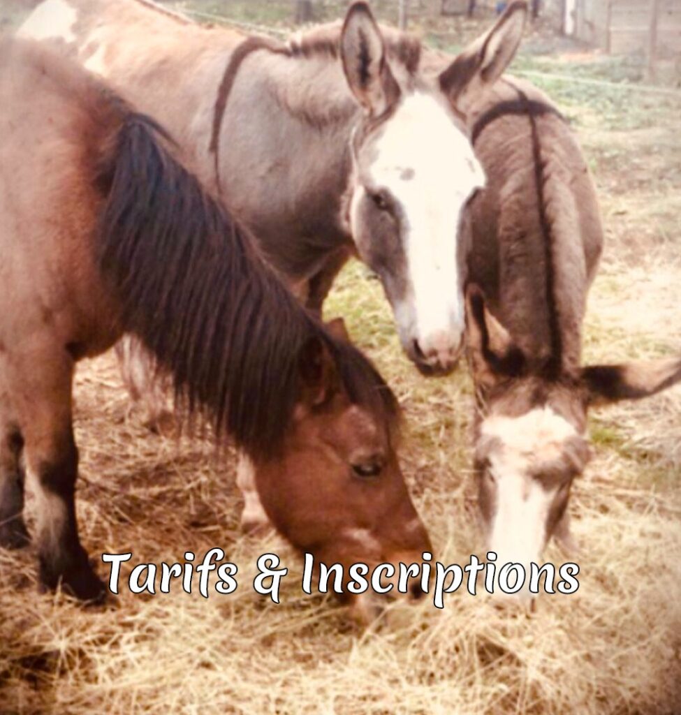 Tarifs et inscriptions